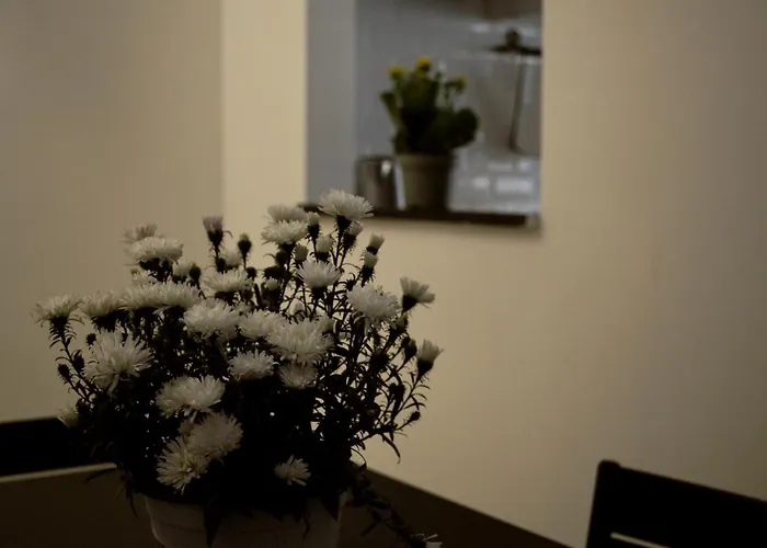 Pietra Papa Apartamento Roma